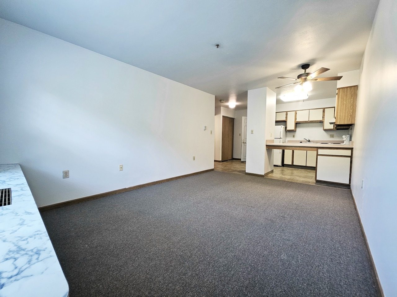 Empty apartment living room with dark worn carpet and dated finishes before renovation.